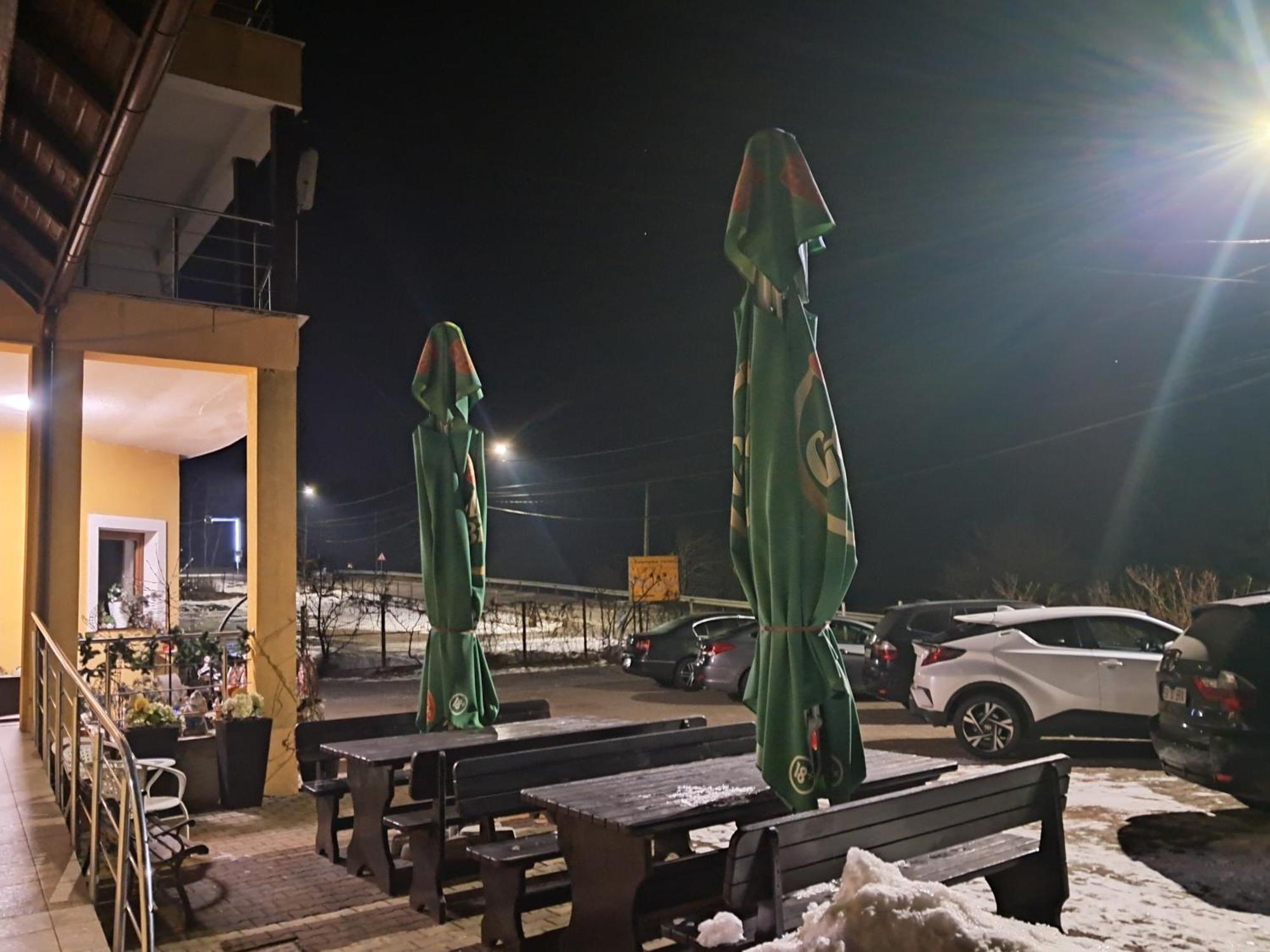 Pensiunea Valurile Bistritei ヴァトラ・ドルネイ エクステリア 写真